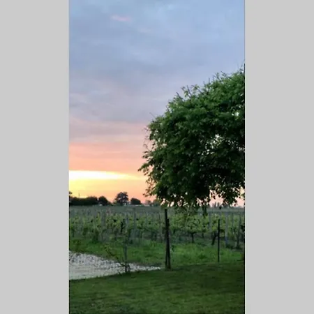 Tranquillite Au Coeur Du Vignoble Saint-emilionnais