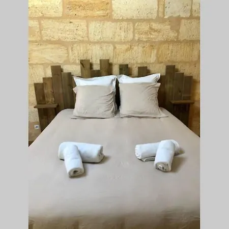 Tranquillite Au Coeur Du Vignoble Saint-emilionnais דירה